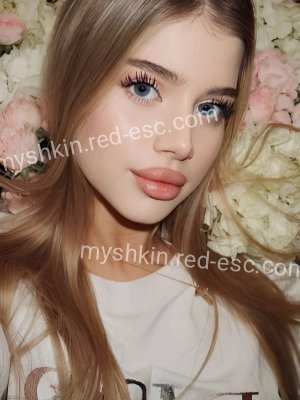 Кристиша — Мышкин