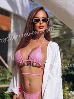 Лена — Мышкин