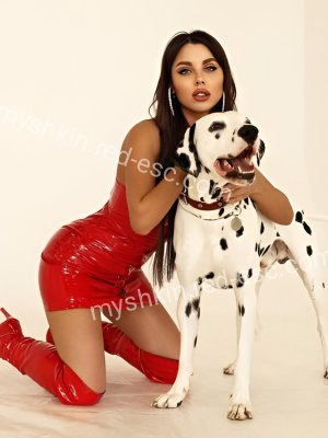 Лина — Мышкин