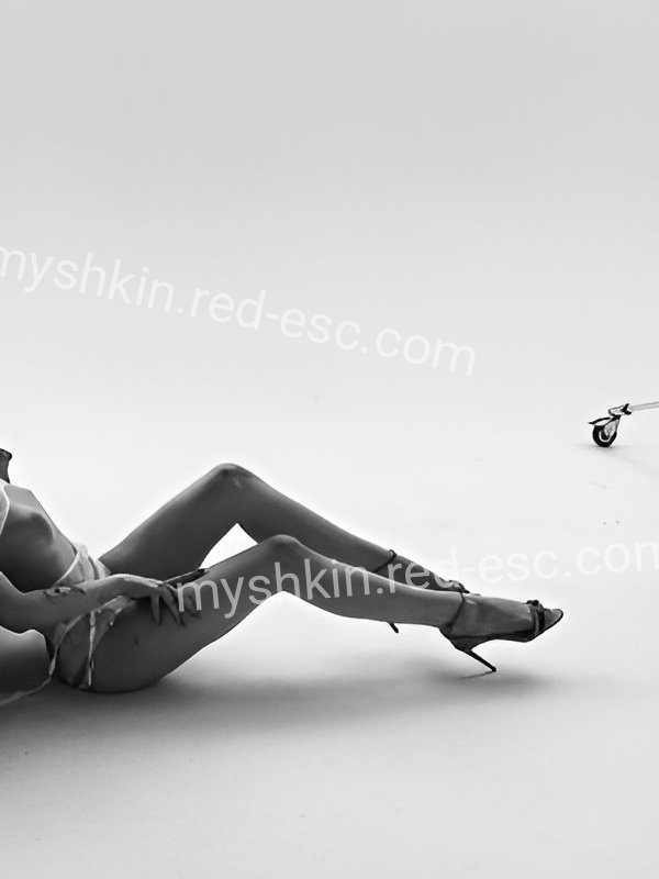 Алла — Мышкин