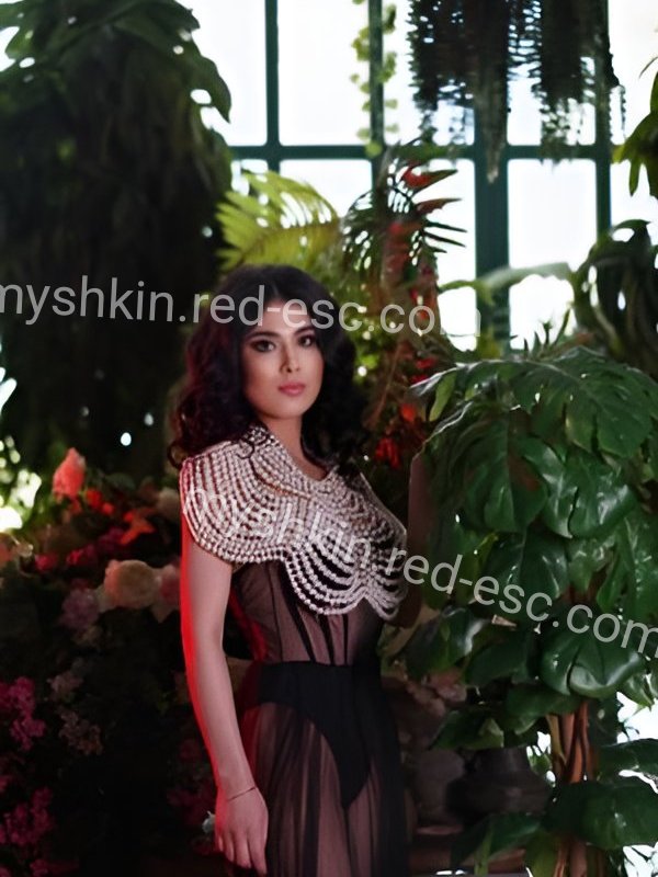 Алсу — Мышкин