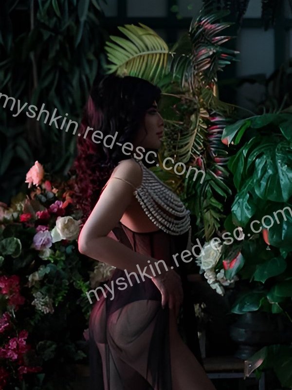 Алсу — Мышкин