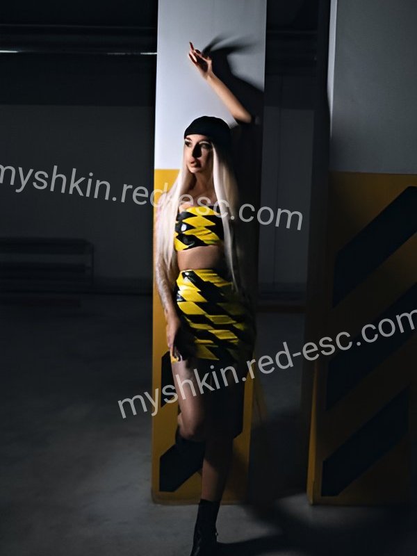 Аня — Мышкин