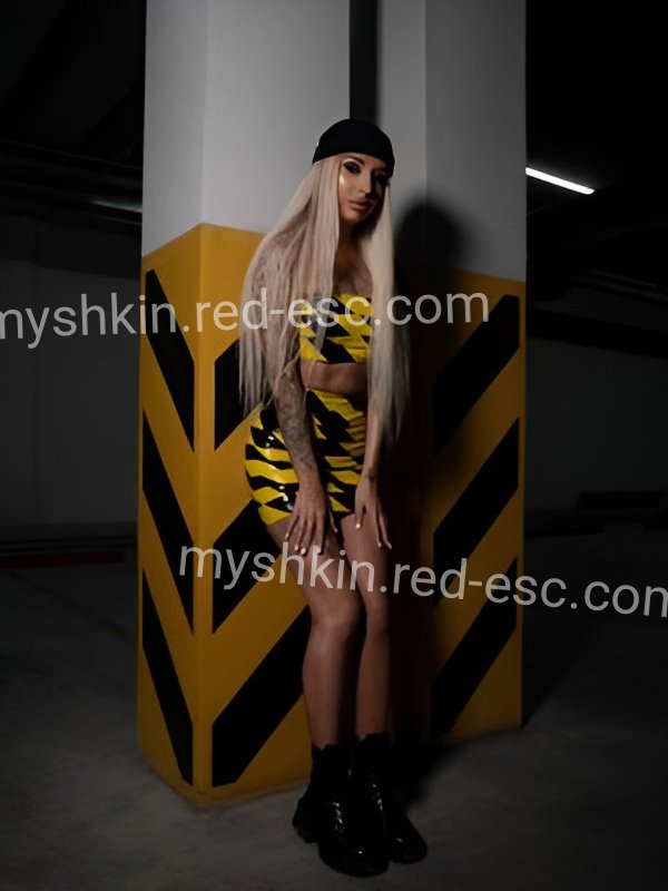 Аня — Мышкин