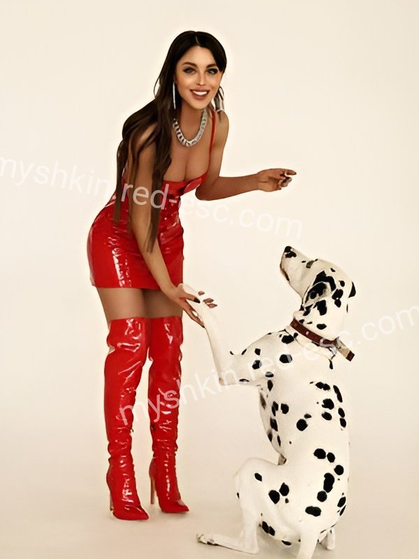 Лина — Мышкин