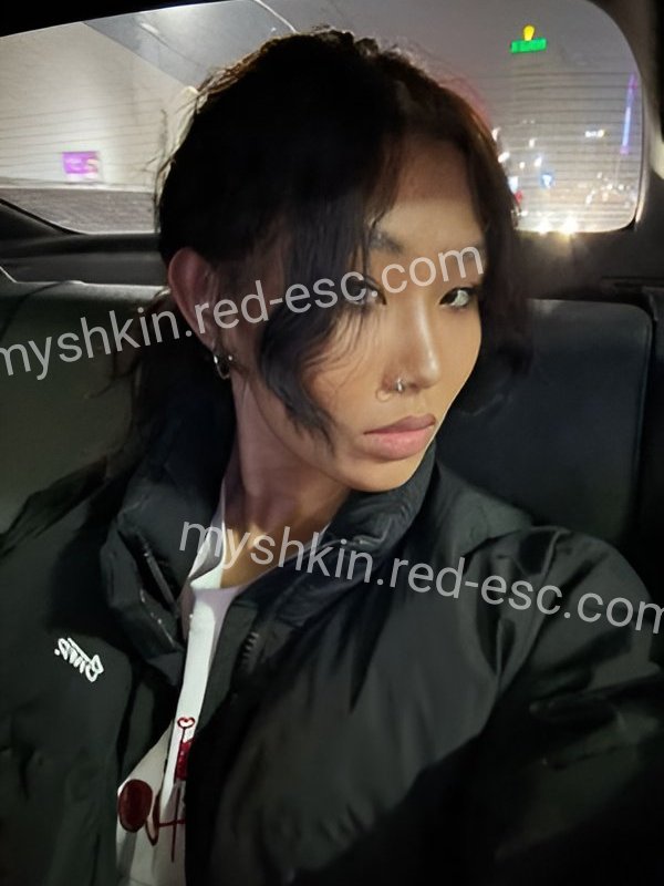 Софа — Мышкин