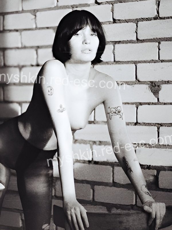 Света — Мышкин