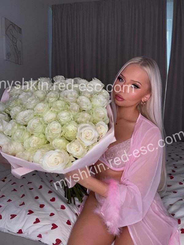 Света — Мышкин